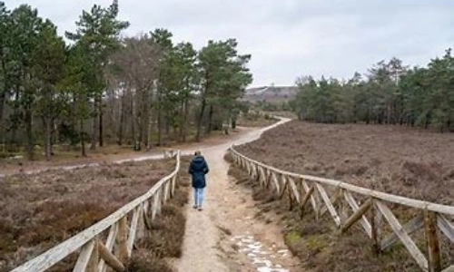 omgeving-lemelerberg